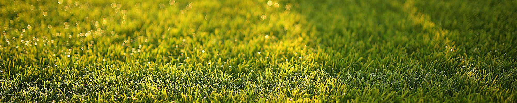 Unique Lawn Care, Fertilization & Pest Control