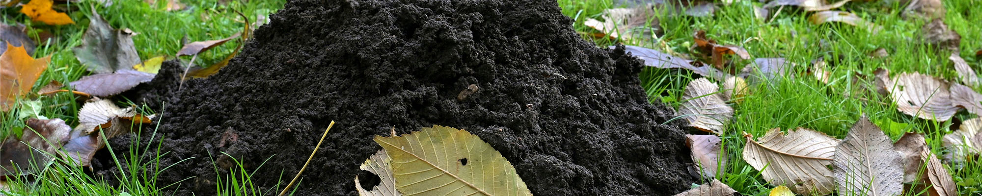 Unique Lawn Care, Fertilization & Pest Control Unique Lawn Care, Fertilization & Pest Control